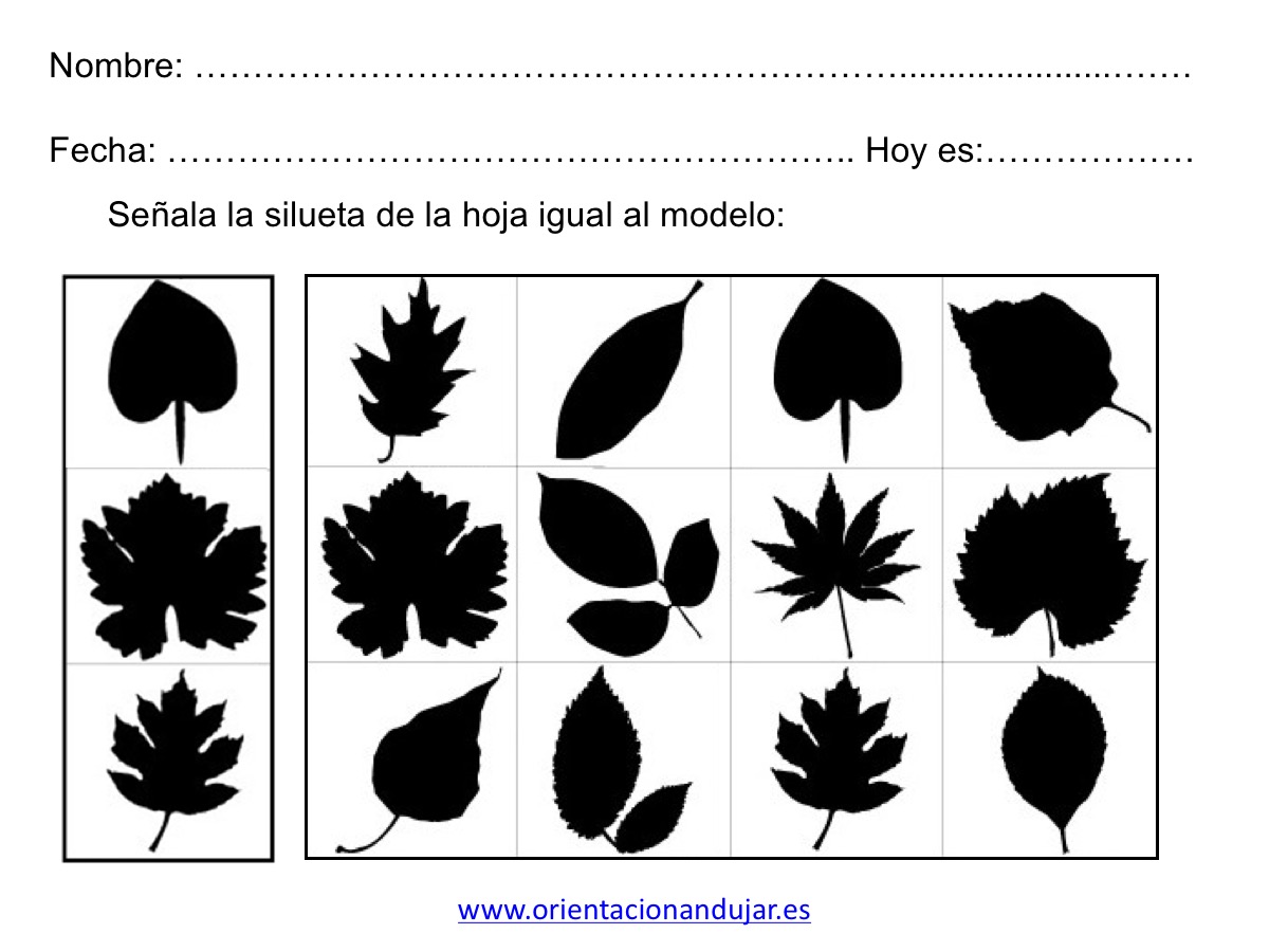 cuaderno-habilidades-basicas26