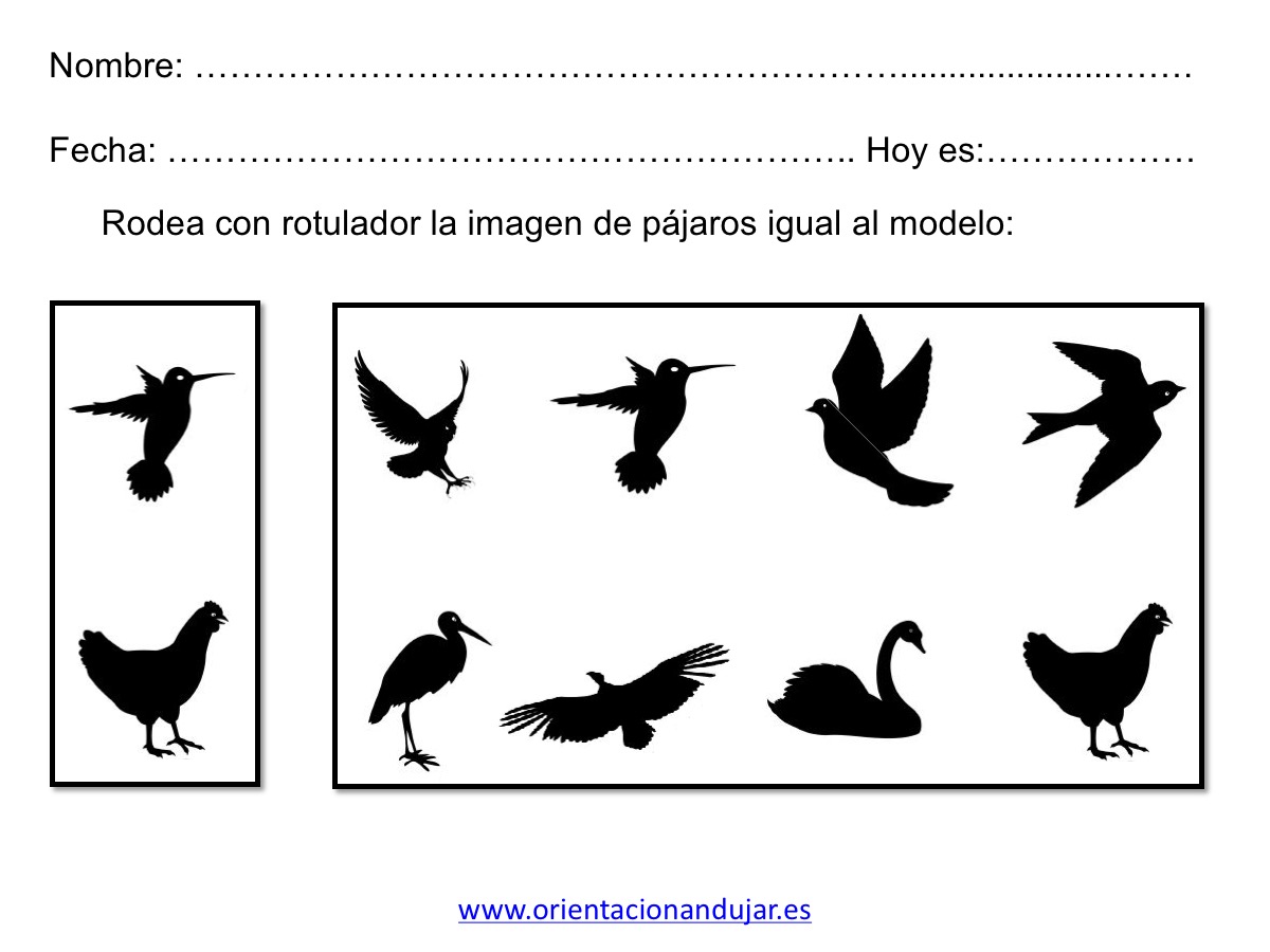 cuaderno-habilidades-basicas3