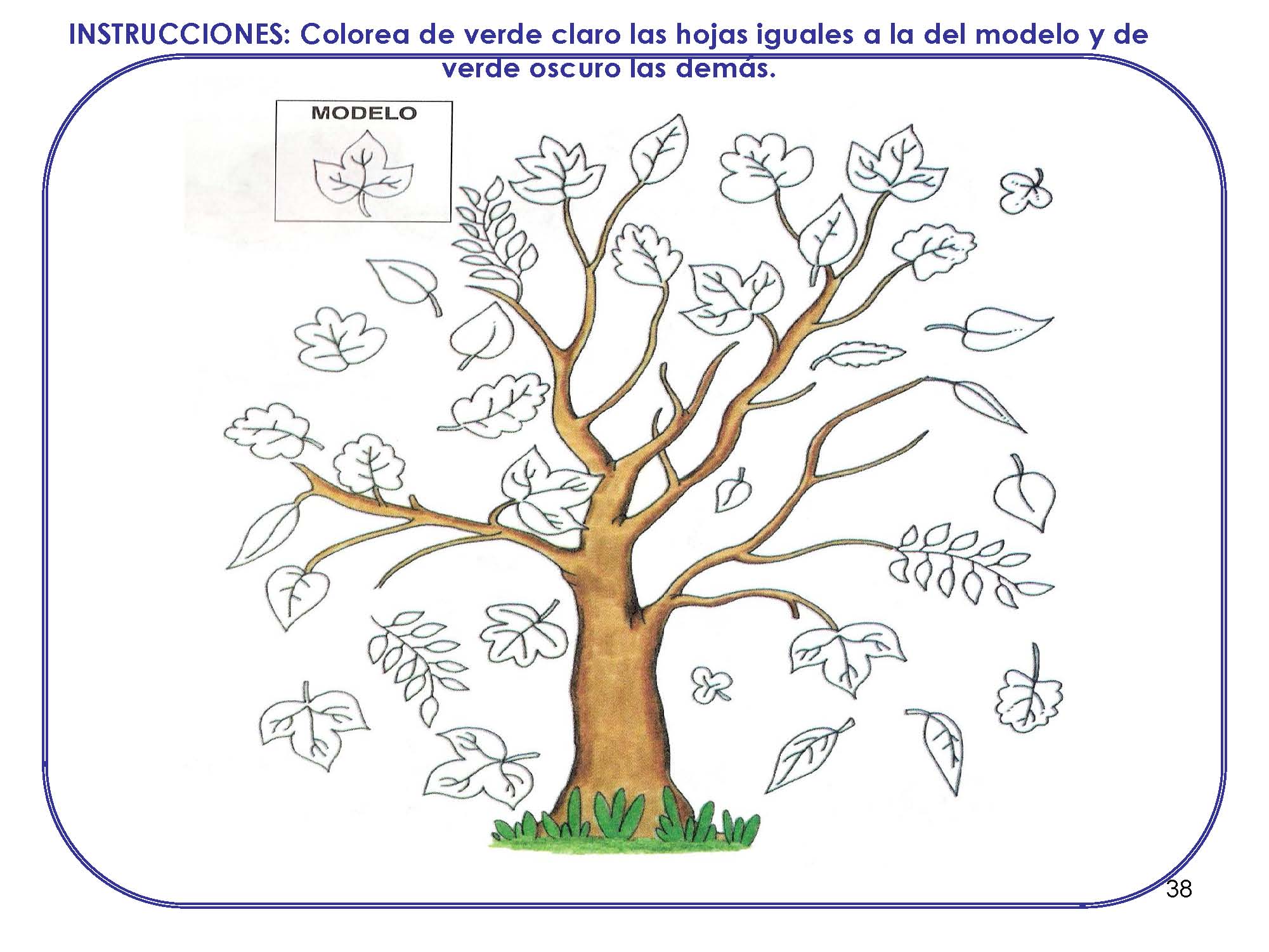 cuaderno-maduracion_pagina_38