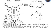 El ciclo del agua es el proceso de circulación del agua entre los distintos compartimentos de la hidrosfera. Se trata de un ciclo en el que hay una intervención de […]