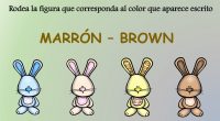 Hemos elegido el tema de “Los colores” ya que, consideramos importante en esta etapa que los niños conozcan y reconozcan los colores de su alrededor, comenzaremos con los colores primarios […]