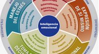 La inteligencia emocional, es la capacidad que tiene una persona para conocer e interpretar las emociones humanas, tanto externas como internamente. Una persona con “inteligencia emocional” es capaz de conocer […]