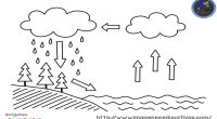 El ciclo del agua es el proceso de circulación del agua entre los distintos compartimentos de la hidrosfera. Se trata de un ciclo en el que hay una intervención de […]