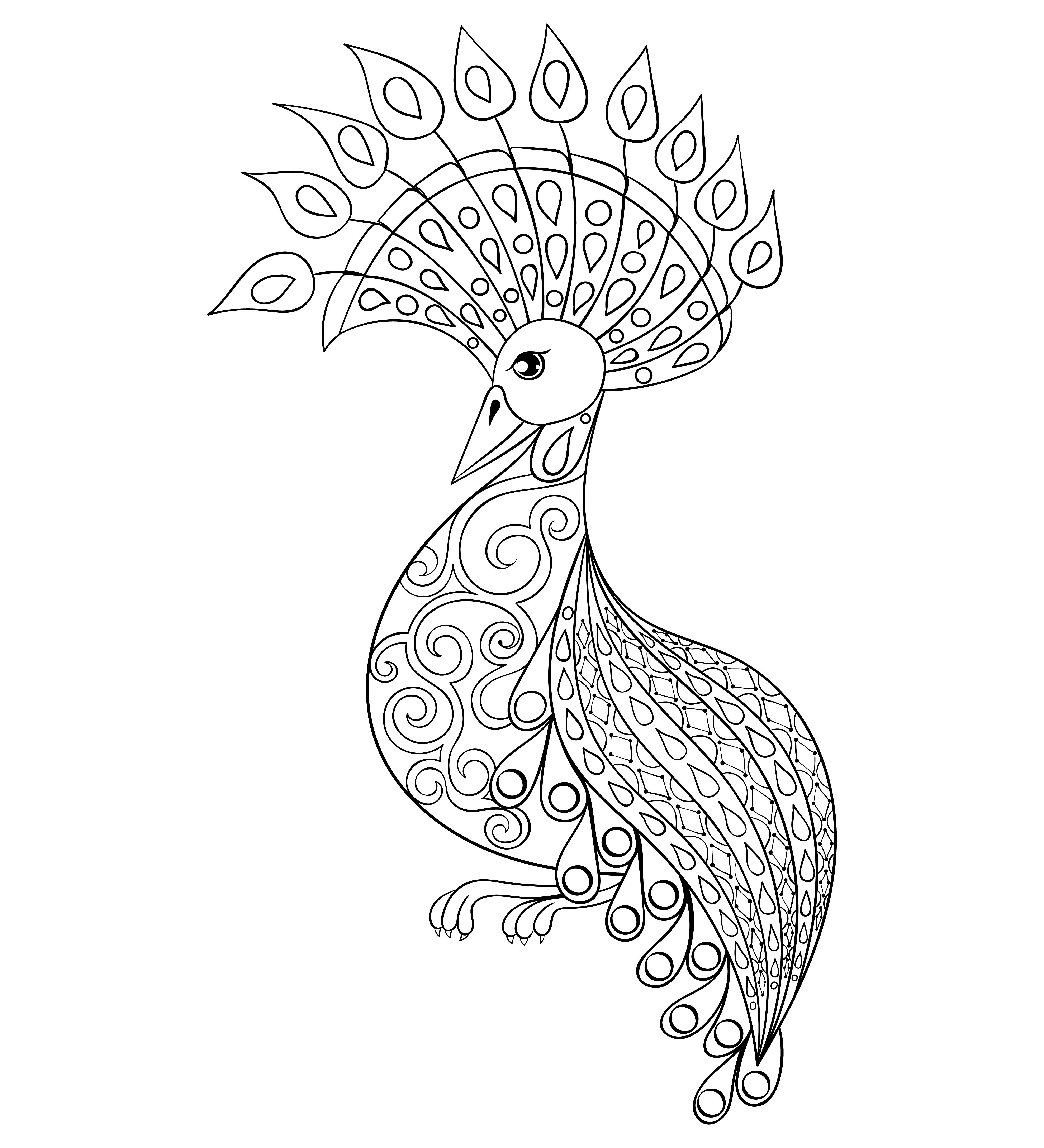 Coloring page with Bird, zentangle illustartion bird for adult