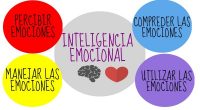 Aprenderás con esta formación los conocimientos necesarios para aplicar la inteligencia emocional con los niños. El curso cuenta con un certificado que te acredita en educación emocional para colegios e instituciones, con el […]