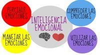 Tal como ocurre con otras temáticas, la educación emocional ha sido ignorada hasta hace pocos años. Con el programa de intervención que este documento contiene, se pretende que cobre la […]