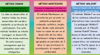 Los tres grandes pedagog@s: Doman, Waldorf y Montessori, han puesto en relevancia la importancia de ofrecer al niño una educación adaptada a su forma de pensar, a su espontaneidad y […]