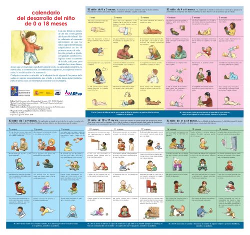 Características del bebé: 1 año (12 meses)