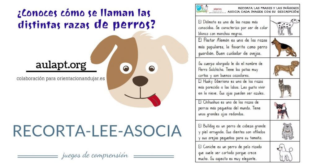 Hoy contamos con una colaboración muy especial se trata de una actividad original realizada por  Mª CARMEN PÉREZ  del afamado blog http://www.aulapt.org/. Se trata de una sencilla actividad de comprensión lectora […]