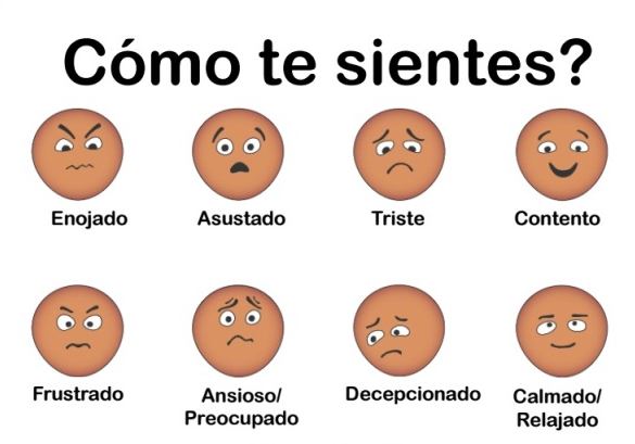 Emociones y neuroeducación Las caritas de emociones para primer y ...