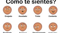 «Todas las personas sentimos emociones, y podemos reaccionar de distintas maneras de acuerdo a la situación en que nos encontremos. Aprender a reconocer lo que sentimos es la base para […]