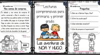 Lecturas comprensivas para Primaria y primer grado. Las aventuras de Noa y Hugo II Las comprensión lectora es la capacidad de entender lo que se lee, tanto en referencia al […]