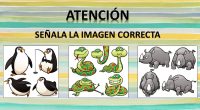 Os hemos preparado estas excelentes actividades para trabajar la atención de nuestros alumnos, en ellas deben de señalar de un conjunto de imágenes de animales, ¿Cuál es la correcta?.   […]