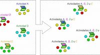 AronsonAronsonLa técnica puzzle de Aronson es una herramienta fundamental para confrontar diversos puntos de vista, para aplicar una metodología dinámica y funcional y aumentar las competencias del alumnado. A continuación […]