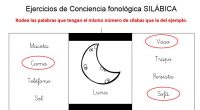 Se ha demostrado que el niño que recibe enseñanza en conciencia fonológica y la ha desarrollado desde pequeño, aprende a leer mejor y más rápido. La conciencia fonológica debe enseñarse […]