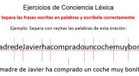 La Conciencia léxica, Es la primera reflexión sobre la producción verbal. Con ella conseguimos que los niños y niñas tomen conciencia de la oración como la unidad de expresión de […]