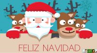 En estos días tan señalados desde Orientación Andújar os queremos desear Feliz Navidad