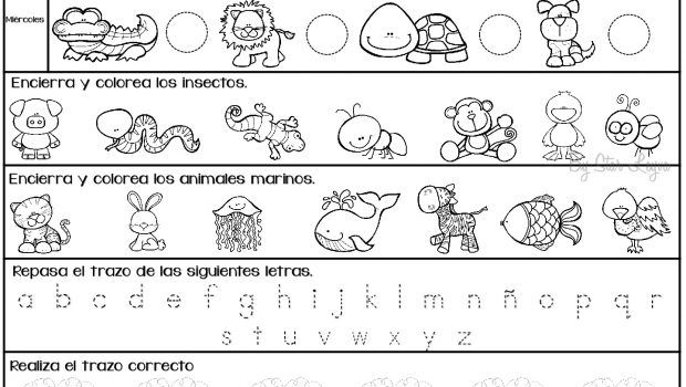 Medición Huerta Mecánica 15-fichas-con-tareas-para-infantil-star-leyva-008 - Orientación Andújar -  Recursos Educativos