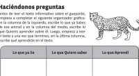 Un lector competente es capaz de formularse preguntas a sí mismo, antes, durante y después de la lectura, profundizando así la comprensión del texto que lee.