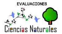 Os dejamos este conjunto de evaluaciones que son ideales para realizar tanto a final como a principio de curso para evaluar a nuestros alumnos en ciencias naturales.