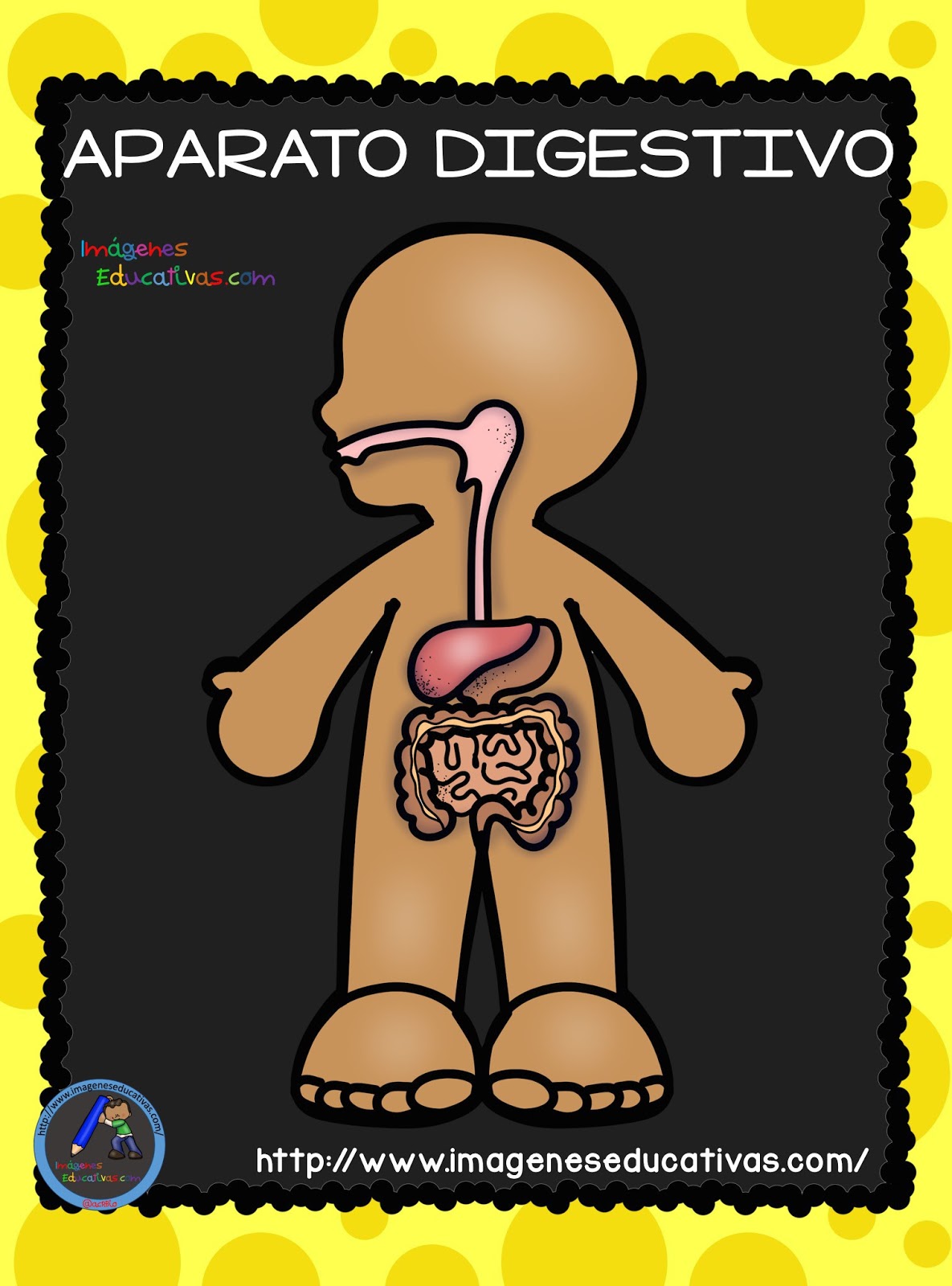 El-Cuerpo-Humano-Aparatos-y-Sistemas-para-Primaria-4 (1) - Orientación Andújar - Recursos Educativos El-Cuerpo-Humano-Aparatos-y-Sistemas-para-Primaria-4 (1) - Orientación Andújar - Recursos Educativos