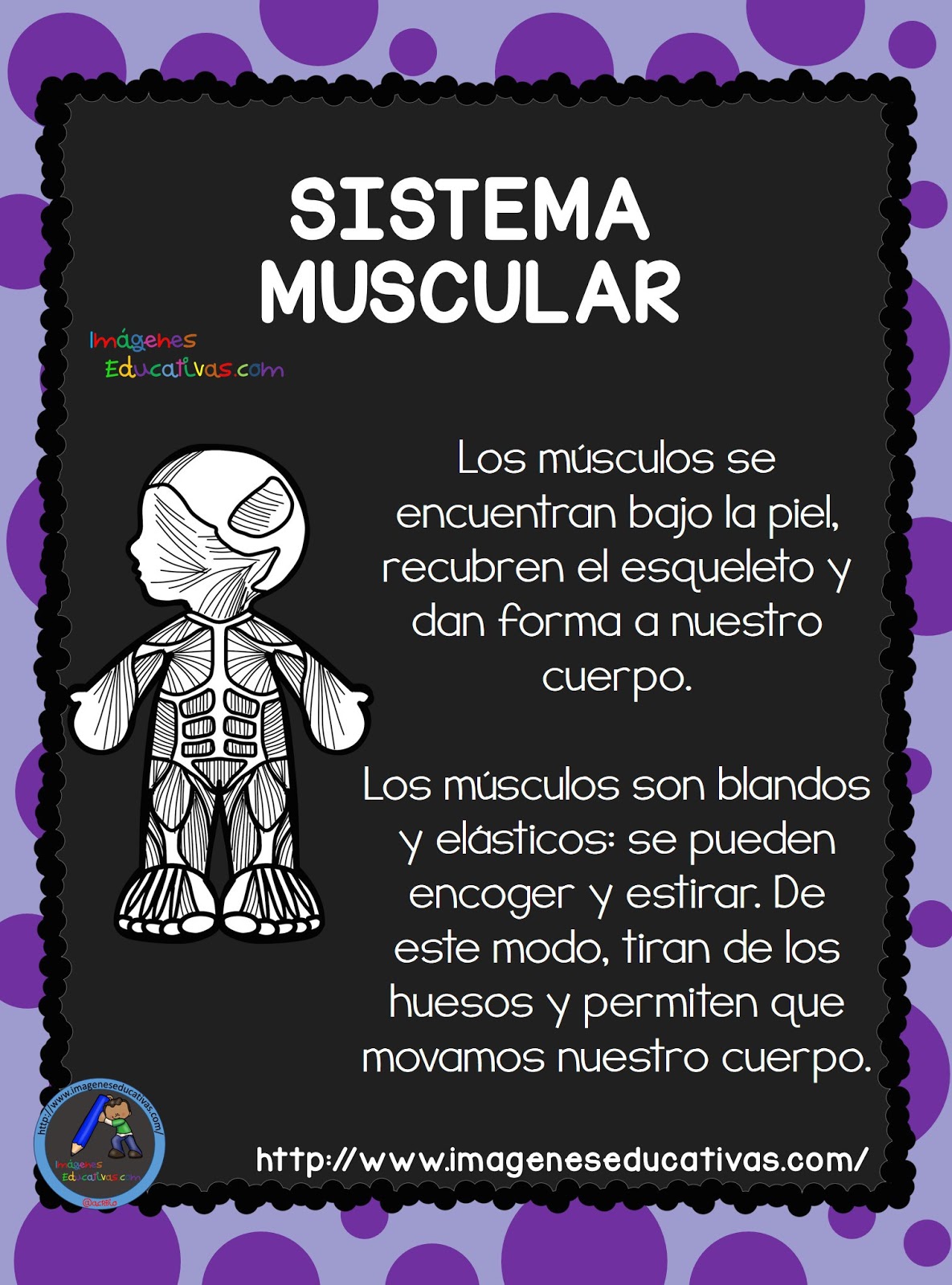 El Cuerpo Humano Aparatos Y Sistemas Para Primaria 7 1 Orientación El Cuerpo Humano Aparatos Y Sistemas Para Primaria 7 1 Orientación