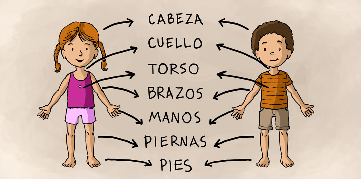 Laminas sencillas para trabajar Las partes del cuerpo -Orientacion Andujar