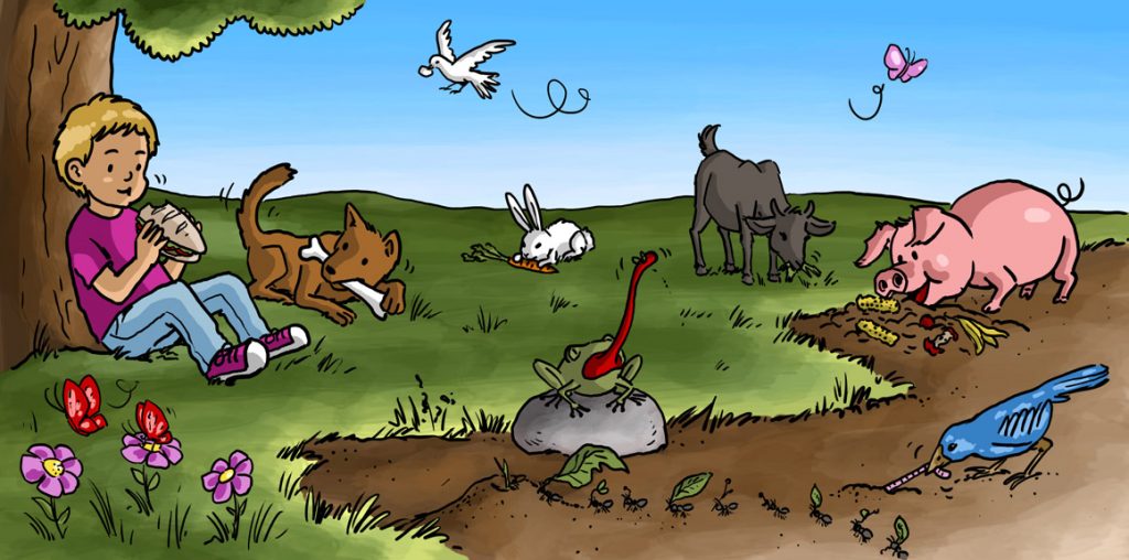Contenidos educativos Educación Infantil ¿Qué comen los animales? Sencilla actividad para trabajar el infantil los animales según su alimentación. Descubrir de qué se alimenta cada animal y unirlo, utilizando el hilo, con el alimento que corresponda.