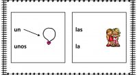La siguiente actividad presenta un sencillo ejercicio que consiste en unir cada dibujo de las fichas con el artículo que corresponda según el género y el  número.