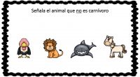 Hoy os traemos unas divertidas fichas para conocer a los animales y sus características principales, a través de dibujos. En la siguiente actividad nuestros alumnos deben identificar y señalar al […]