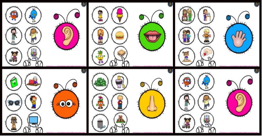 Los seres humanos tenemos cinco sentidos: vista, oído, olfato, gusto y tacto. Tenemos sentido de la vista gracias a los ojos, que nos permiten ver todo lo que nos rodea […]