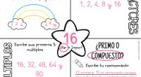 La cantidad de factores que tienen los números sirve para clasificarlos en primos y compuestos. Los primeros tienen sólo dos factores, mientras que los segundos cuentan con más de dos.