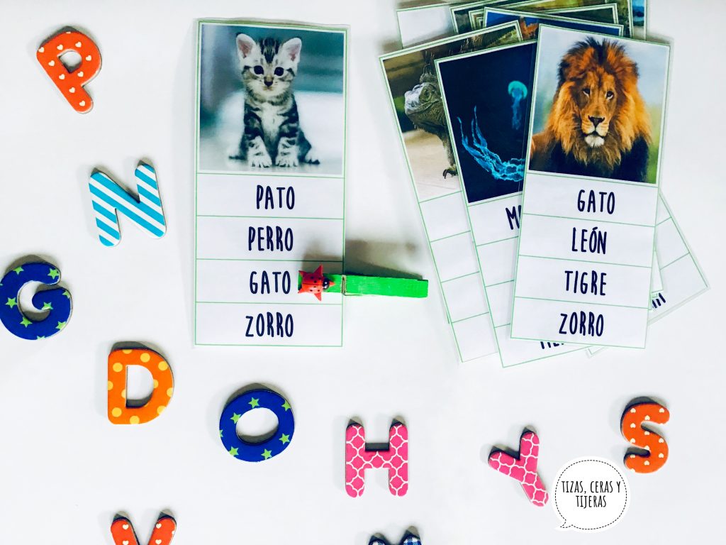 Hoy os quiero compartir el material creado por  @tizascerasytijeras este material de lectoescritura para trabajar la identificación de animales y la lectura de palabras en mayúsculas ideal para la etapa de infantil. […]