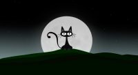 El gato que soñaba con alcanzar la luna. Fichas comprensión lectora