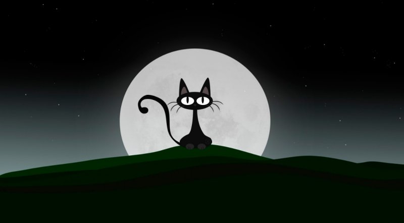 Fichas comprensión lectora del El gato que soñaba con alcanzar la luna. El gato que soñaba con alcanzar la luna. Fichas comprensión lectora