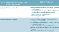 Para responder a la diversidad es preciso mejorar las prácticas de aula y las medidas organizativas de los centros educativos. La gestión del aula puede ser, en sí misma, una […]