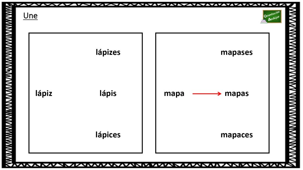 Nivel morfosintáctico: Une cada singular con su plural. Sencilla actividad para trabajar el singular y el plura.