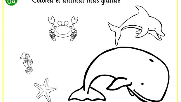 Completo cuaderno de verano para infantil + 80 fichas_page-0047 ...