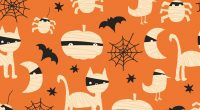 Os hemos preparado estos fondos de halloween o digital paper para que puedas hacer tus propias creaciones de fichas, tarjetas, actividades, etc.