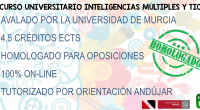 La teoría de las Inteligencias Múltiples junto con otras nuevas metodologías que el alumno podrá conocer dentro de nuestro curso, pueden ser una solución importante en el ámbito de la […]