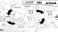 Qué es el ciclo natural del agua? Fácilmente puedo contestar que…soy «yo»! El ciclo del agua describe la presencia y el movimiento del agua en la Tierra y sobre ella. […]