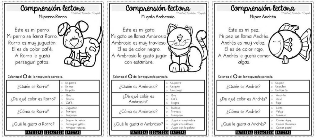 Leemos todo el tiempo, pero no es lo mismo leer que entender lo que se lee. Es muy común leer algo por completo y, al terminar, no recordar lo que […]
