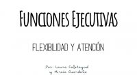 Las funciones ejecutivas son capacidades que permiten canalizar la información, planificar, tomar decisiones y controlar las emociones. Entre ellas se podrían destacar tres de las más importantes y analizadas: la inhibición, la flexibilidad […]