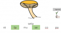 Presentación interactiva para seleccionar las sílabas que formas las palabras de los dibujos representados.