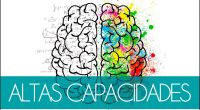 Tipología del alumnado con Talentos y Altas Capacidades En el concepto de altas capacidades, se suelen incluir los términos superdotación, talento y precocidad. El alumnado con altas capacidades constituye un […]