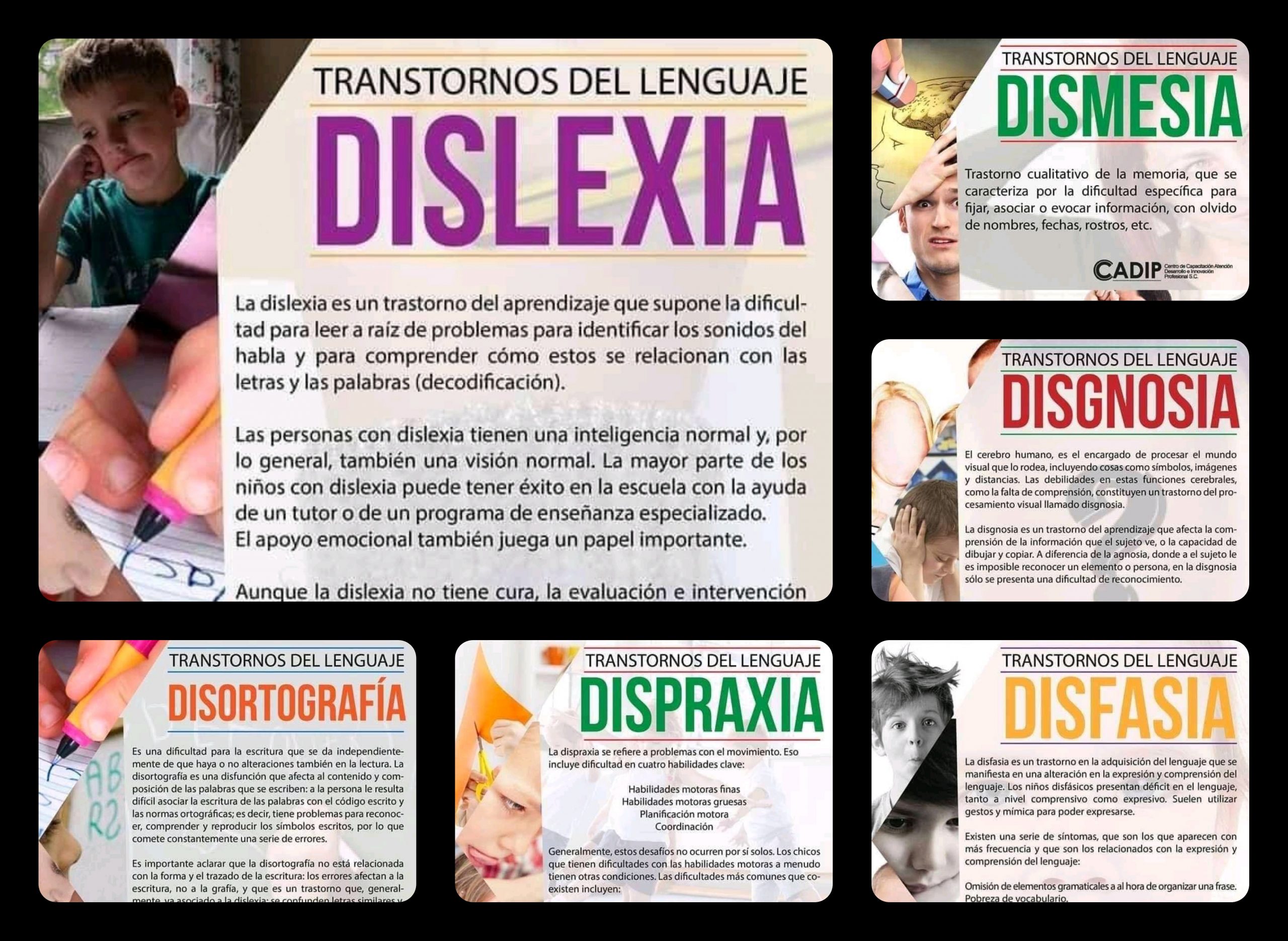 Problemas De Lenguaje En Niños De 3 A 6 Años