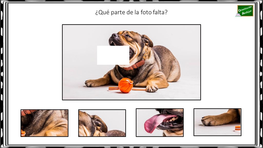 Los ejercicios de búsqueda visual  para mayores son perfectos para estimular la mente y frenar el deterioro cognitivo por demencia. También son ideales para aquellas personas mayores que deseen tener la […]