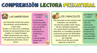 La actividad que propongo es para trabajar comprensión verbal/oral a través de la lectura de pequeños textos sobre distintos insectos y responder preguntas con Verdadero o Falso. ¡Sencillo y práctico! […]