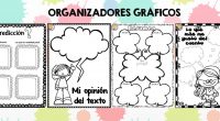 Los organizadores gráficos son técnicas activas de aprendizaje por las que se representan los conceptos en esquemas visuales. El alumno debe tener acceso a una cantidad razonable de información para […]