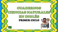 El siguiente material está pensado para alumnos que dan la asignatura de ciencia naturales en inglés o bien que prefieran repasar inglés a través del vocabulario y la temática propia […]